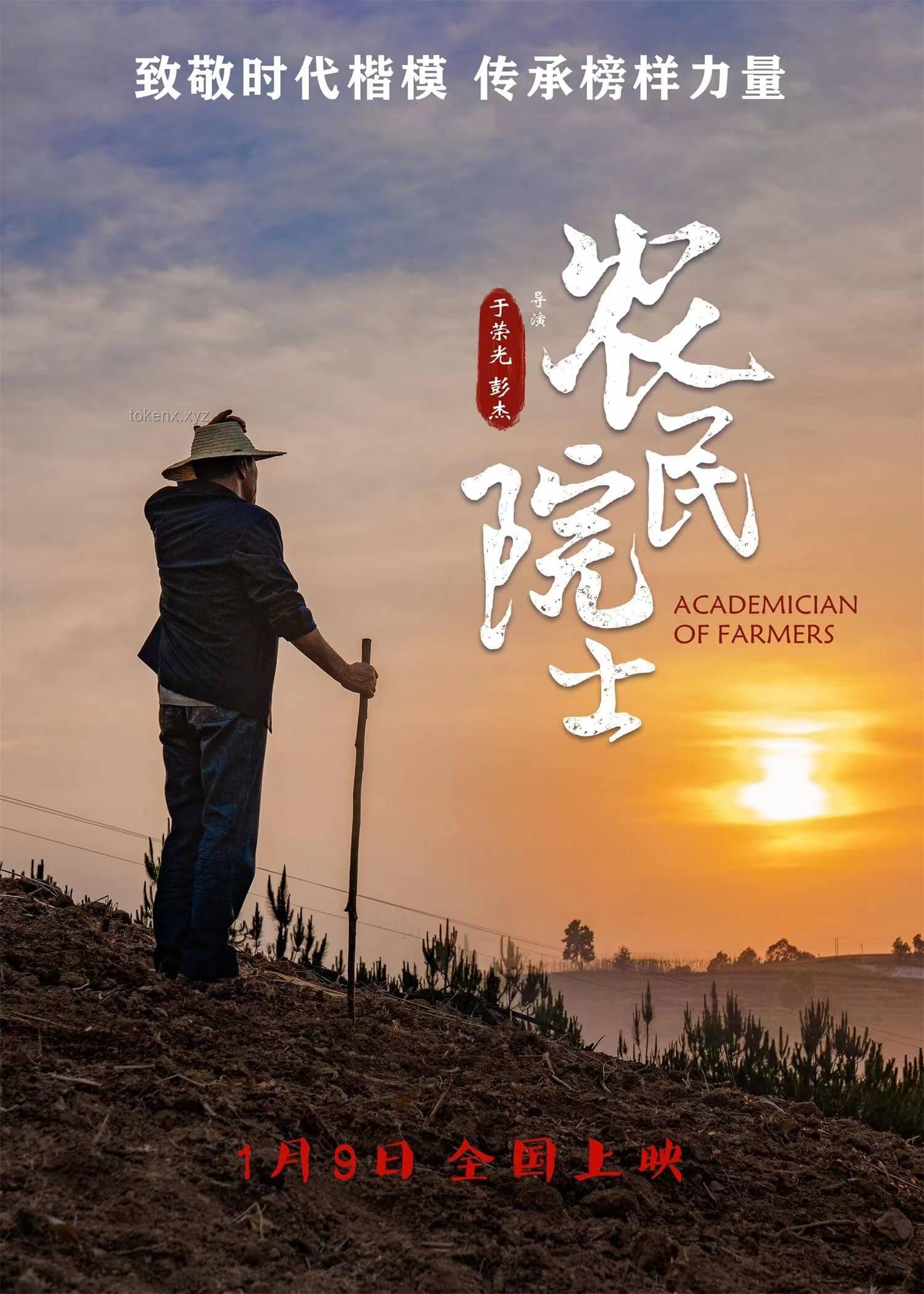 虽人穷但志不穷：萤火突击的东山再起之路与猛攻季深度解析