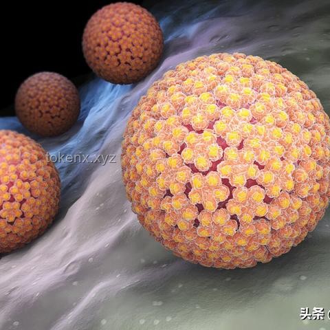 男性也会感染HPV甚至患癌：全面防护指南