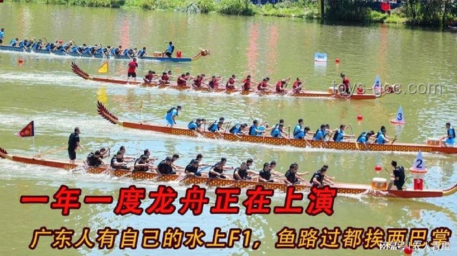 广东人自己的“水上F1”上线：龙舟竞渡的激情与传承